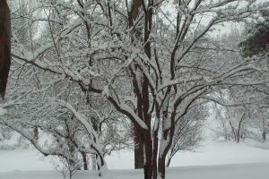 Winter 2001
