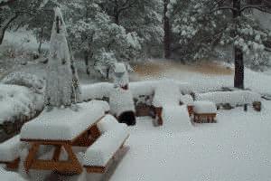 Backyard View
